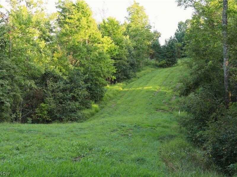 Yoker Valley Road, Quaker City, OH 43773 Photo 24
