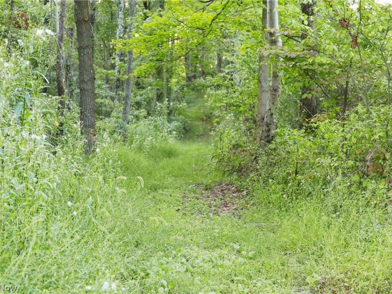 Yoker Valley Road, Quaker City, OH 43773 Photo 25