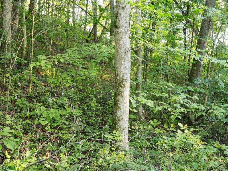 Yoker Valley Road, Quaker City, OH 43773 Photo 29