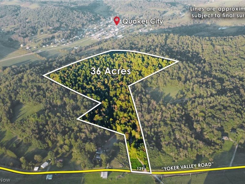Yoker Valley Road, Quaker City, OH 43773 Photo 3