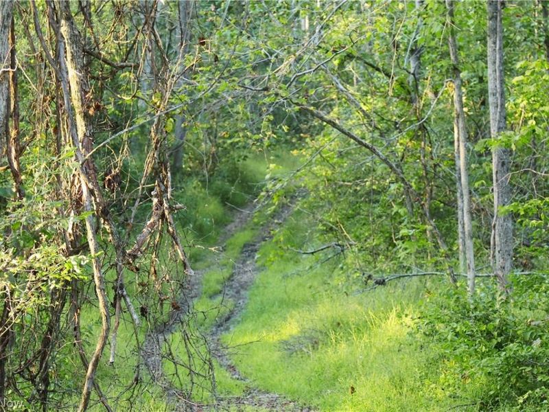 Yoker Valley Road, Quaker City, OH 43773 Photo 31