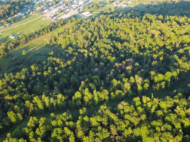 Yoker Valley Road, Quaker City, OH 43773 Photo 33