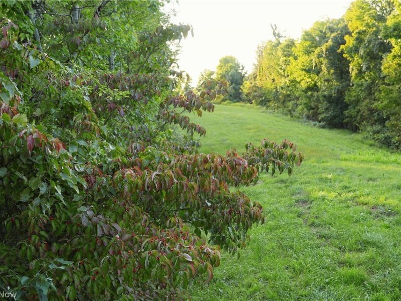Yoker Valley Road, Quaker City, OH 43773 Photo 34