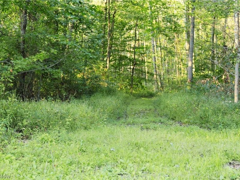 Yoker Valley Road, Quaker City, OH 43773 Photo 35