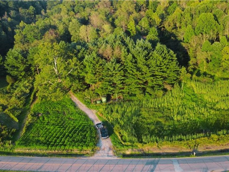 Yoker Valley Road, Quaker City, OH 43773 Photo 37