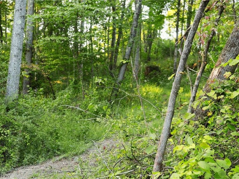 Yoker Valley Road, Quaker City, OH 43773 Photo 38