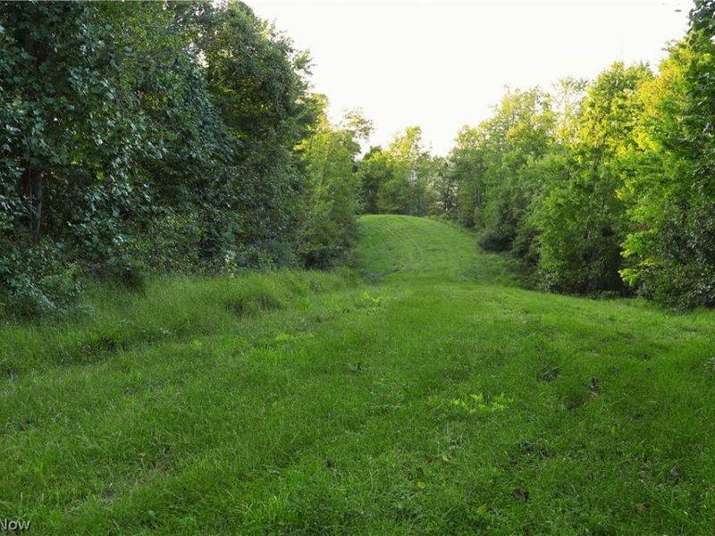 Yoker Valley Road, Quaker City, OH 43773 Photo 4