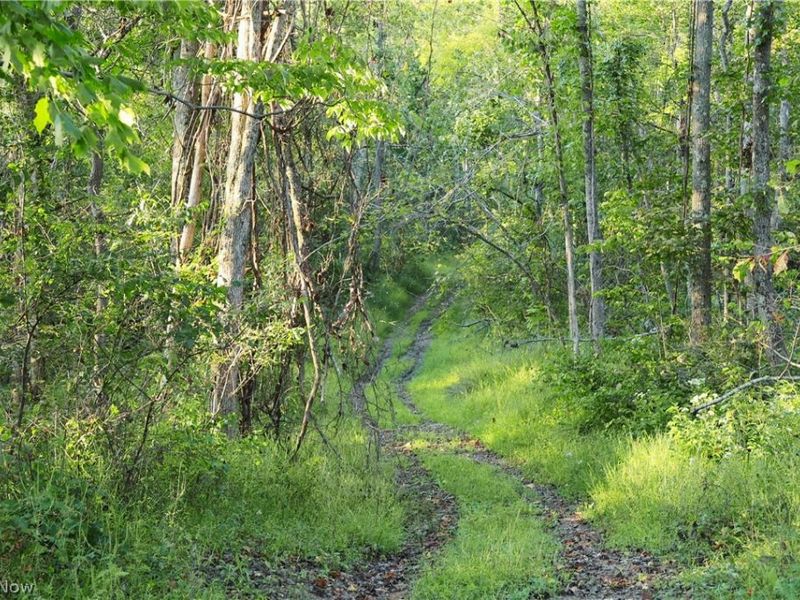 Yoker Valley Road, Quaker City, OH 43773 Photo 40