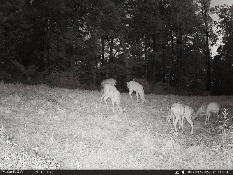 Yoker Valley Road, Quaker City, OH 43773 Photo 44
