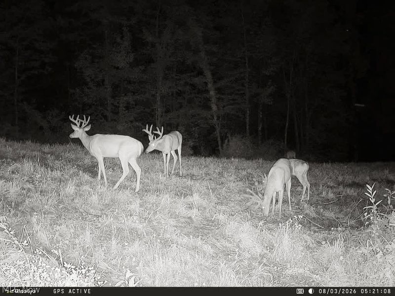 Yoker Valley Road, Quaker City, OH 43773 Photo 45
