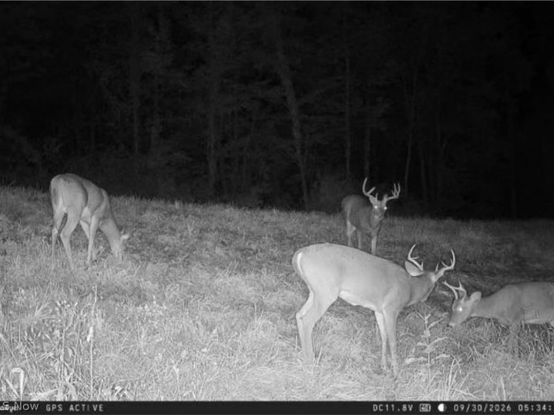Yoker Valley Road, Quaker City, OH 43773 Photo 47