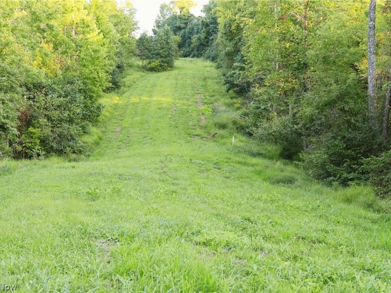 Yoker Valley Road, Quaker City, OH 43773 Photo 5