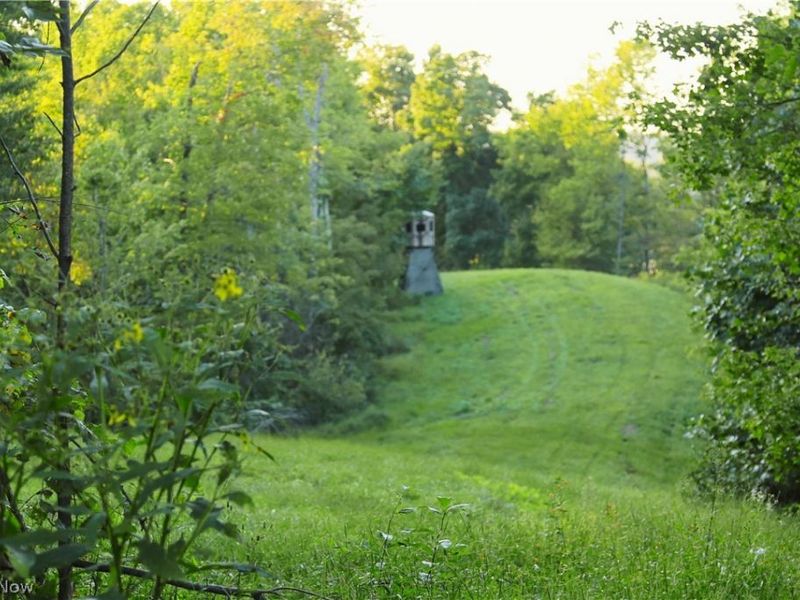 Yoker Valley Road, Quaker City, OH 43773 Photo 6