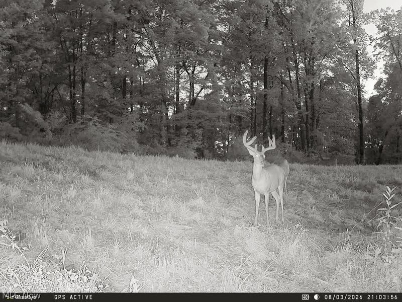 Yoker Valley Road, Quaker City, OH 43773 Photo 7