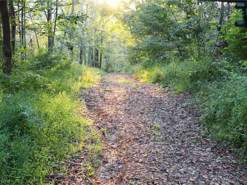 Yoker Valley Road, Quaker City, OH 43773 Photo 9