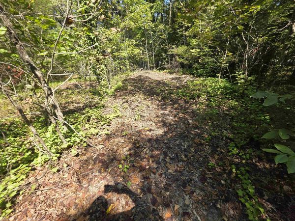 L-10 B-2 Summit Ridge Drive , Ozark Acres, AR 72482