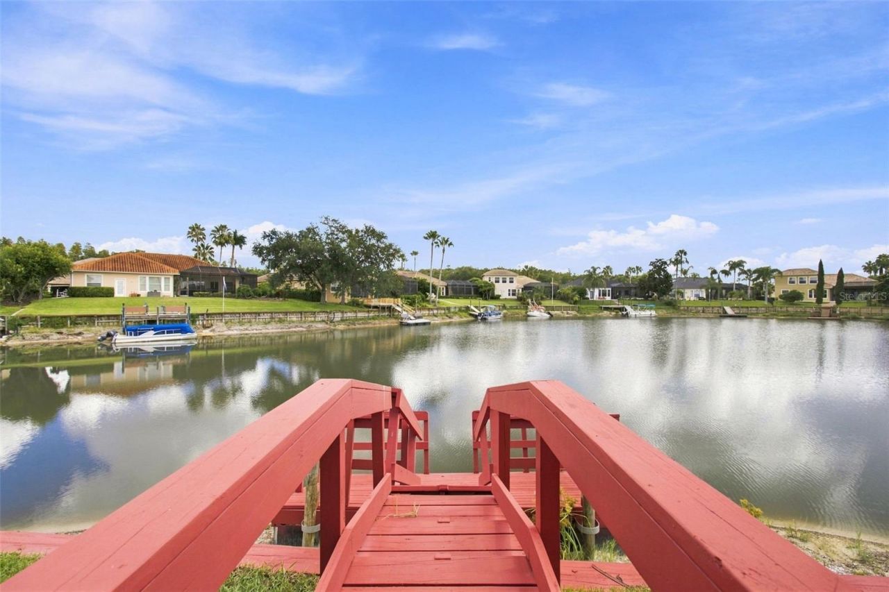 10801 Barbados Isle Drive, Tampa, FL 33647 Photo