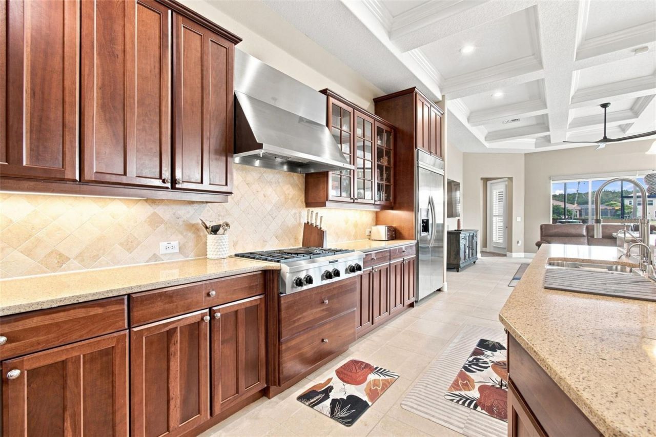 10801 Barbados Isle Drive, Tampa, FL 33647 Photo