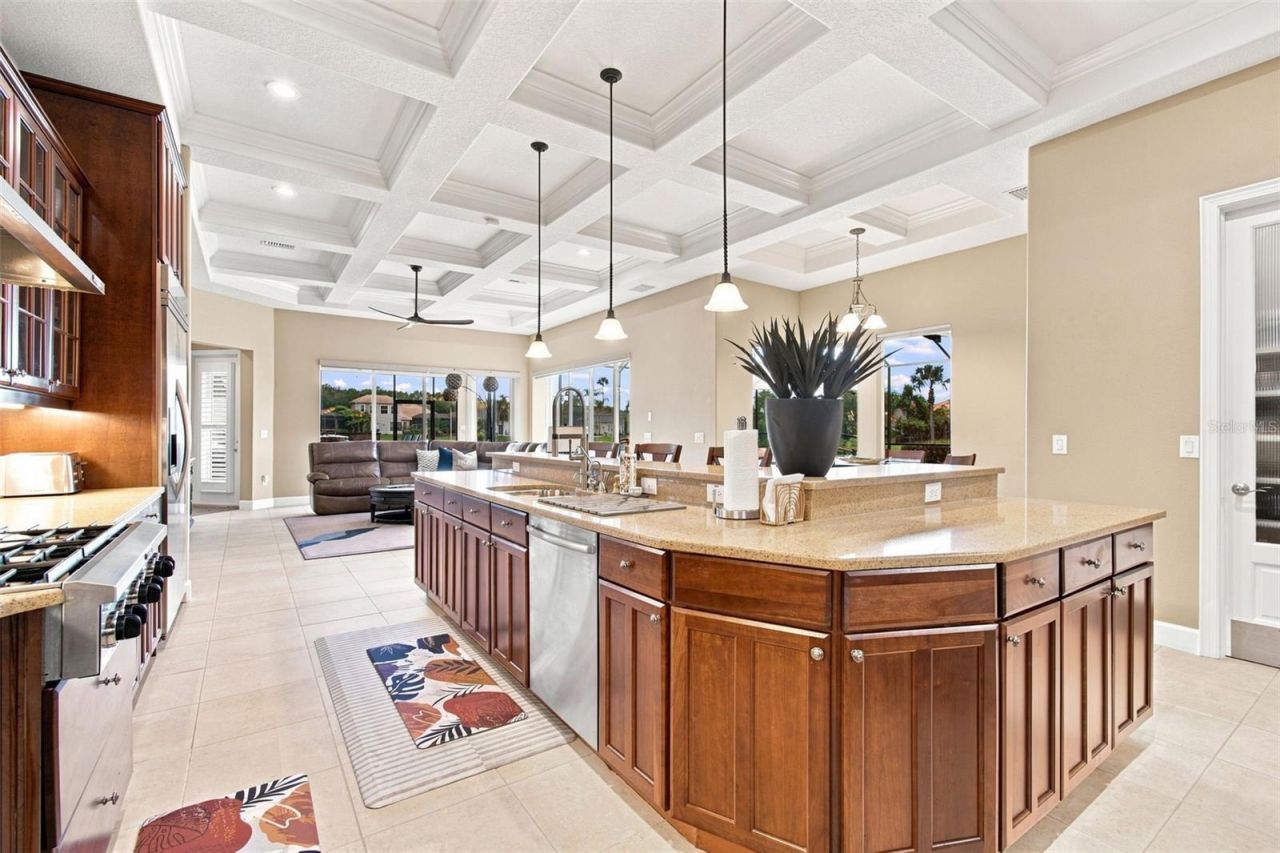 10801 Barbados Isle Drive, Tampa, FL 33647 Photo
