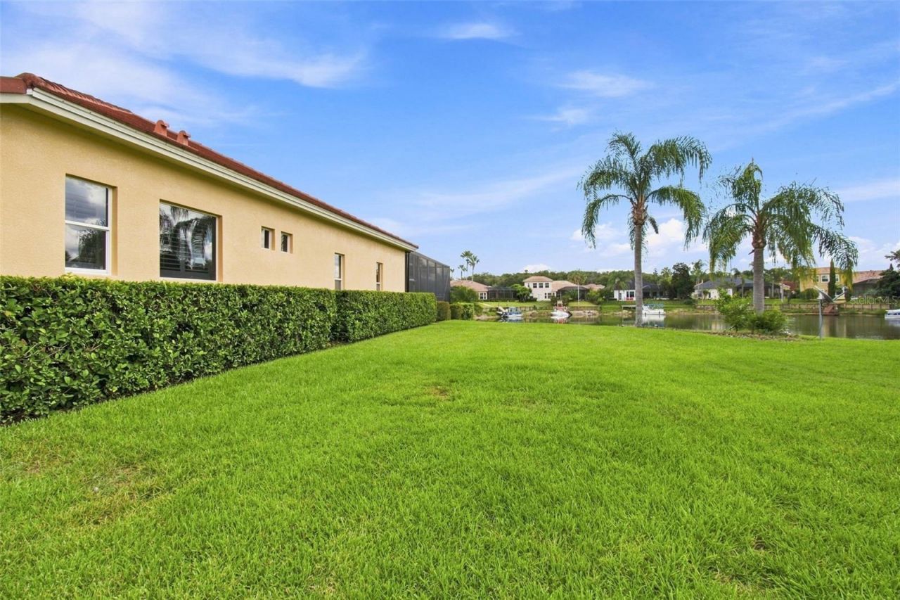 10801 Barbados Isle Drive, Tampa, FL 33647 Photo