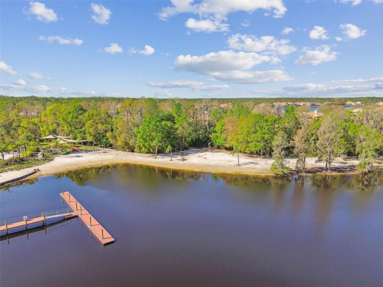 10801 Barbados Isle Drive, Tampa, FL 33647 Photo