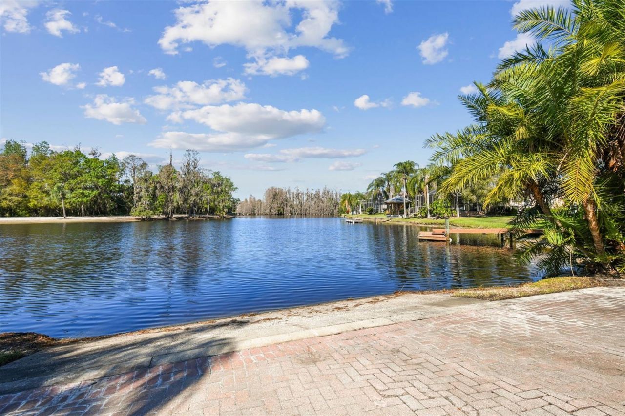 10801 Barbados Isle Drive, Tampa, FL 33647 Photo