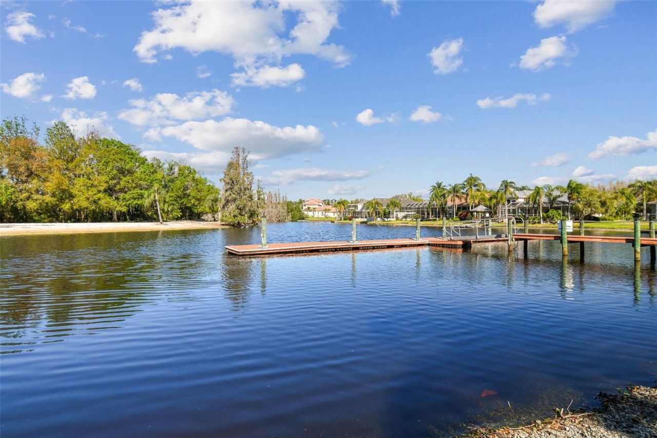 10801 Barbados Isle Drive, Tampa, FL 33647 Photo