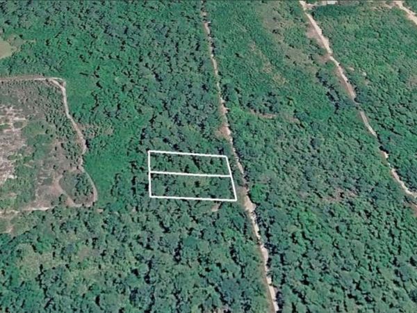 231 and 233 W EDGELINE ROAD , SATSUMA, FL 32189