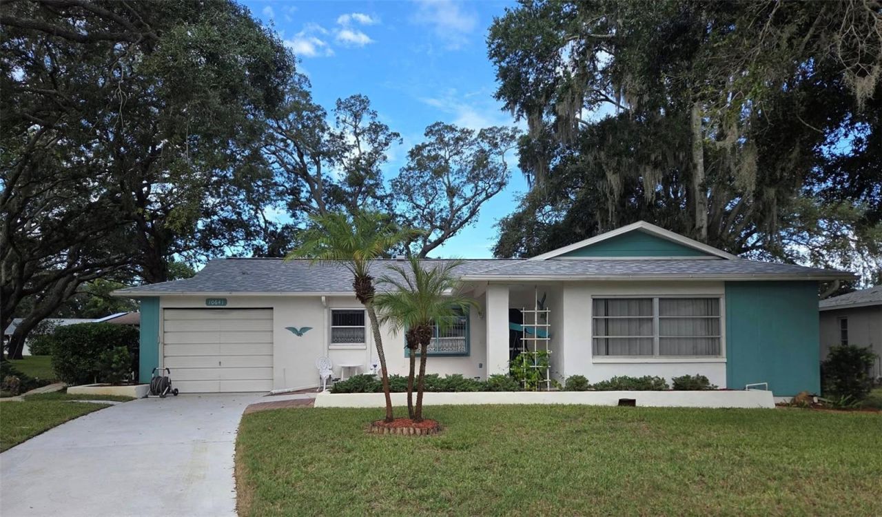 10641 Tonapa Loop, Port Richey, FL 34668 Photo