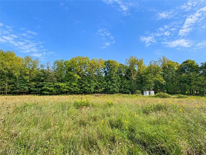 0 Colgin Road, Howard, OH 43028 Photo 2