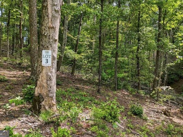 3 Turkey Spur Drive, Ellijay, GA 30540