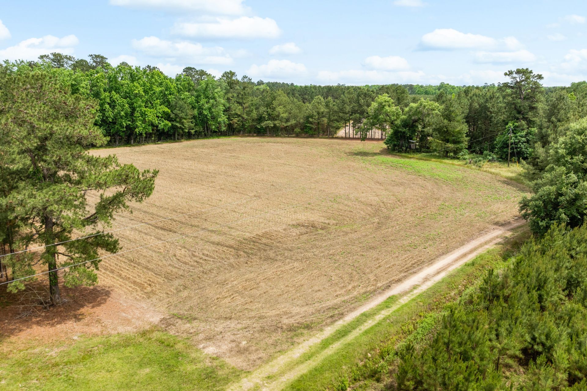 741 Jones Road Photo 41