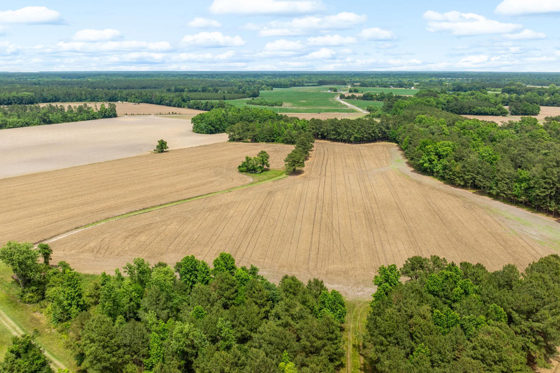 741 Jones Road Photo 42