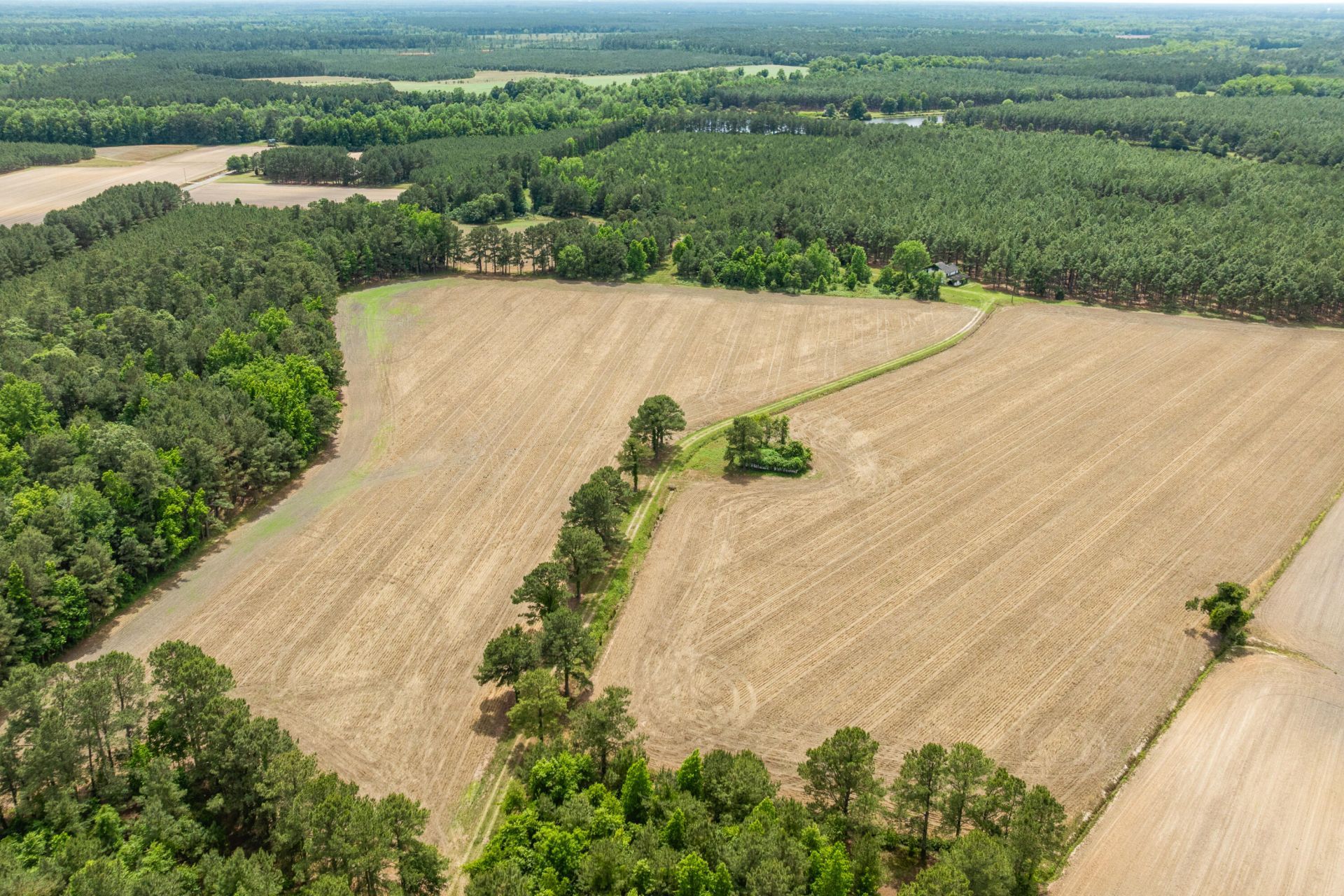 741 Jones Road Photo 49