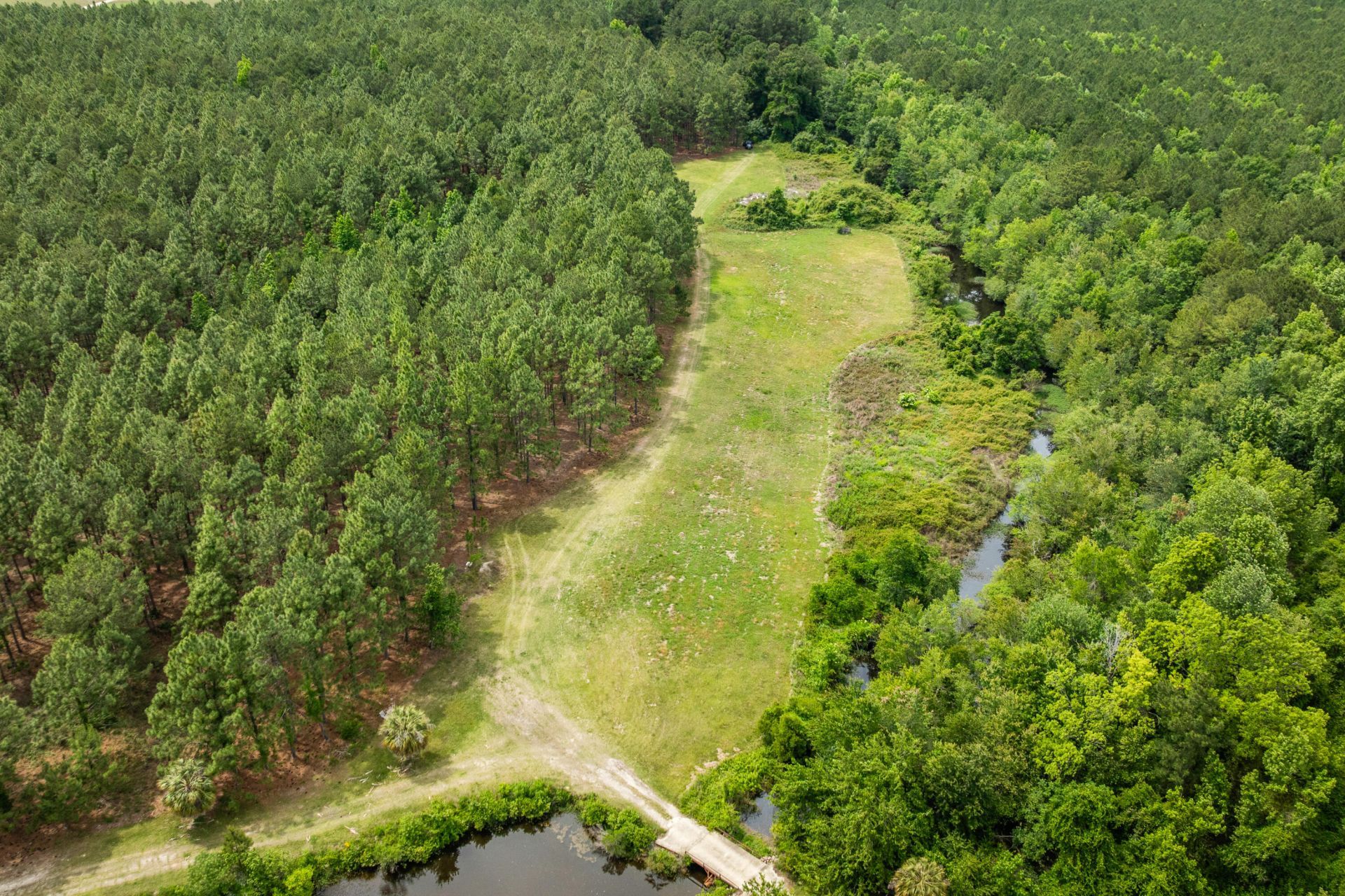 741 Jones Road Photo 50