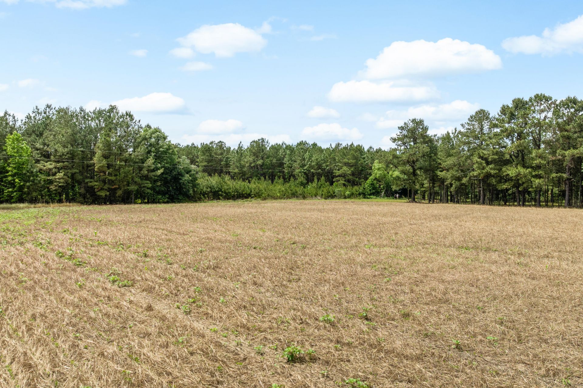 741 Jones Road Photo 66