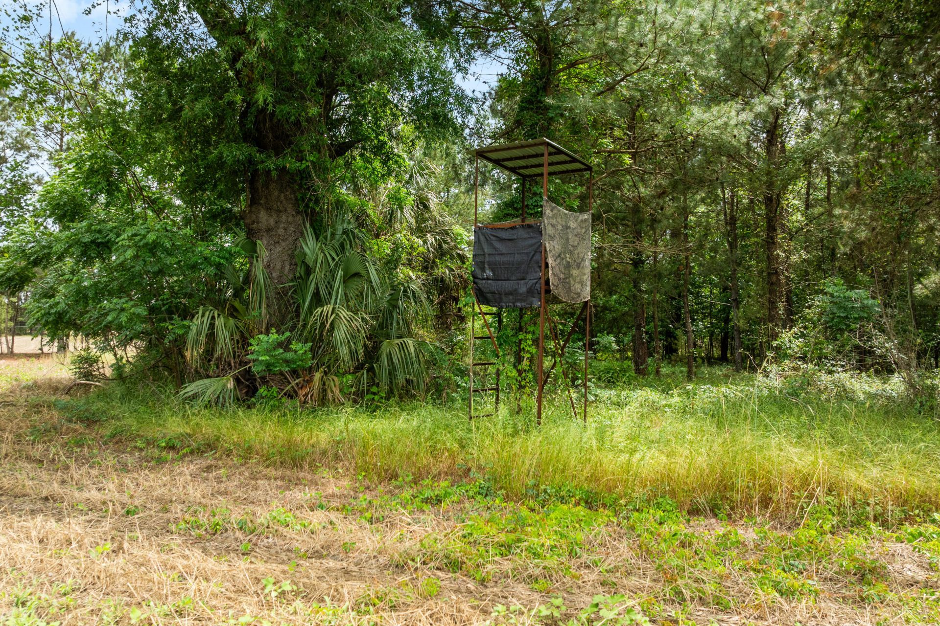 741 Jones Road Photo 67