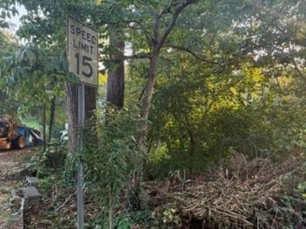 99999 Reese Street , Woodfin, NC 28804