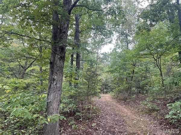 X CR 339 , Piedmont, MO 63957