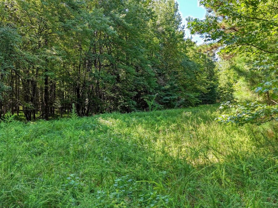 Property Image 60