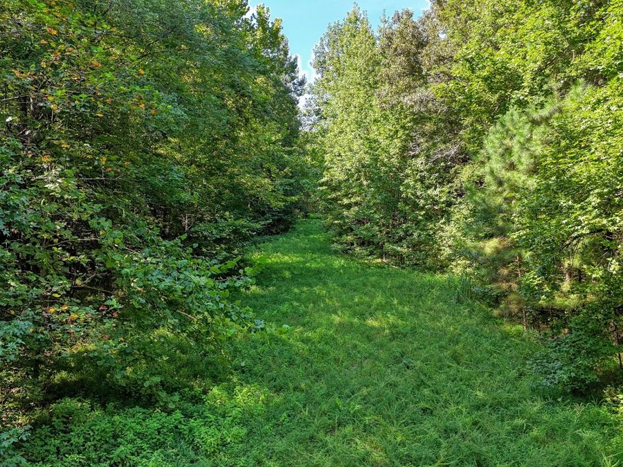 Property Image 62