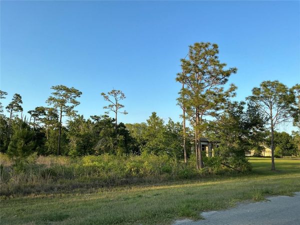 REYNOLDS PARKWAY , ORLANDO, FL 32833