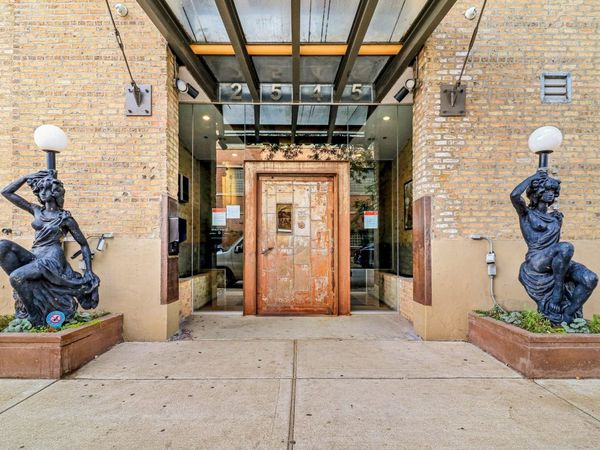 2545 S Dearborn Street , Unit 533, Chicago, IL 60616