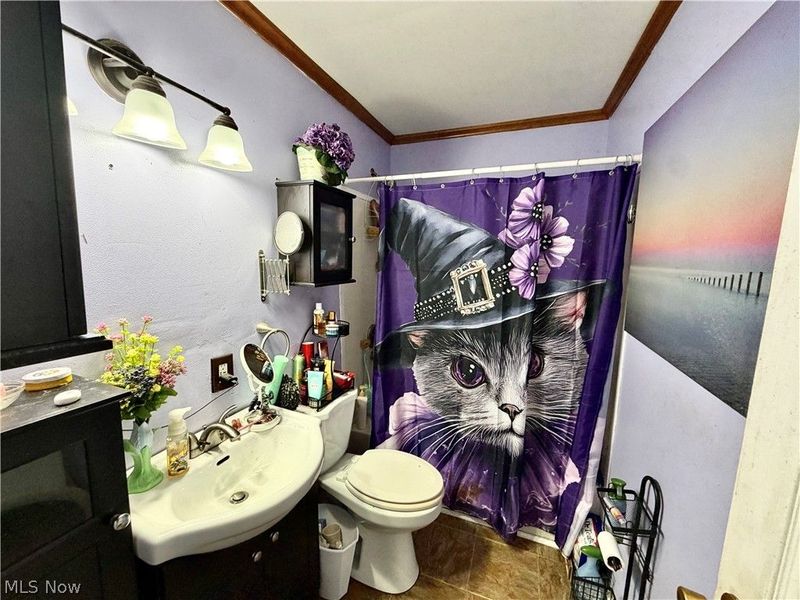 807 Hazelwood Avenue SE, Warren, OH 44484 Photo 8
