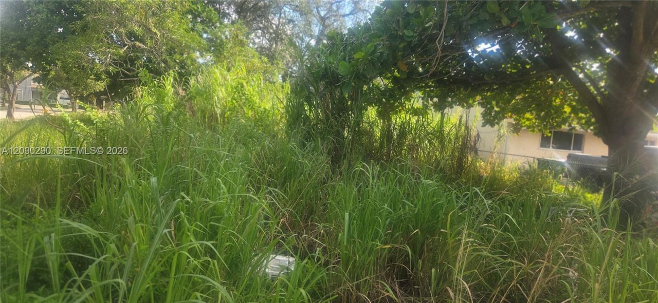 143xx SW 272 St., Homestead, FL 33032 Photo