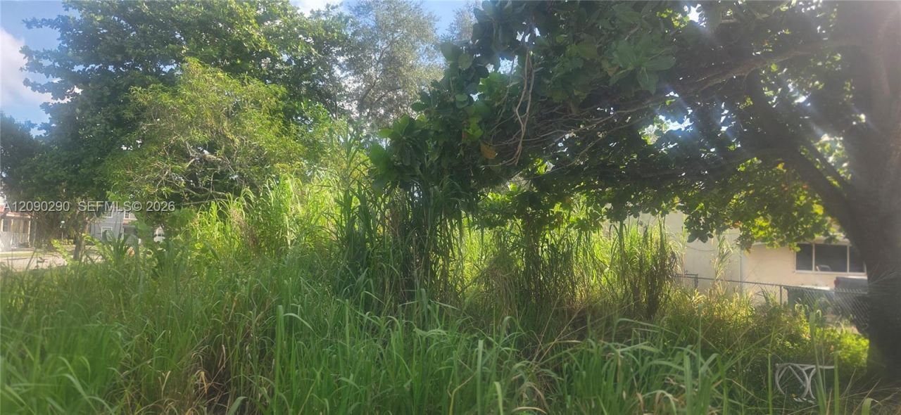 143xx SW 272 St., Homestead, FL 33032 Photo