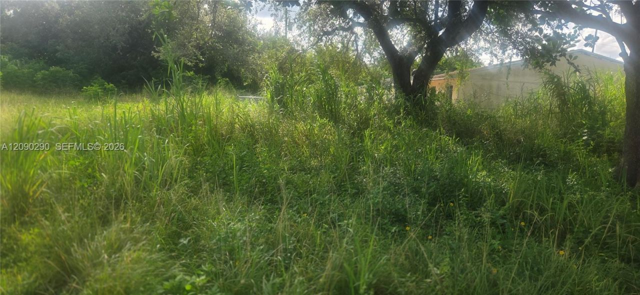143xx SW 272 St., Homestead, FL 33032 Photo