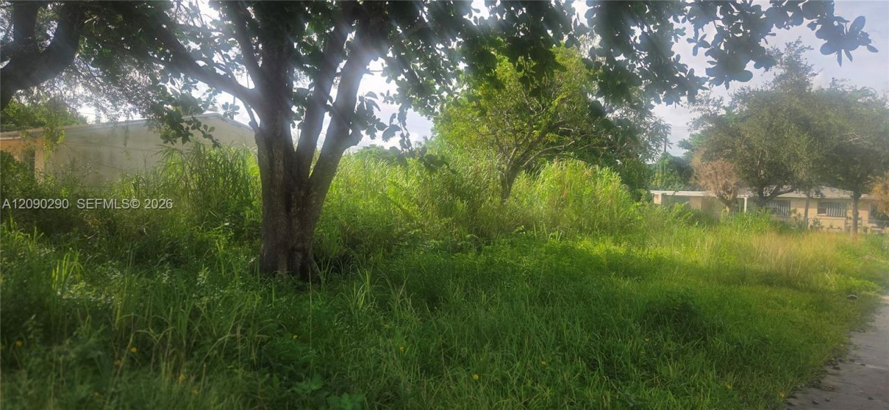 143xx SW 272 St., Homestead, FL 33032 Photo