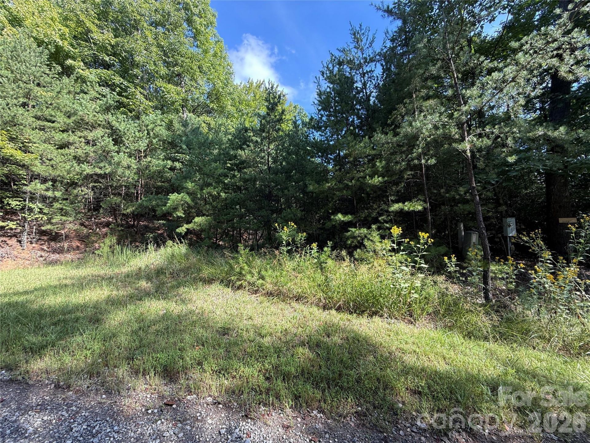 Tbd Wolf Pen Road, Purlear, NC 28665 Main Photo
