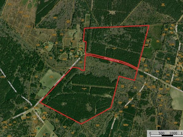 0 Old Forreston Rd., Greeleyville, SC 29056
